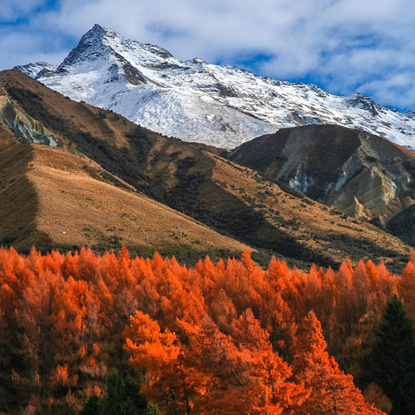 new zealand mountain adventures